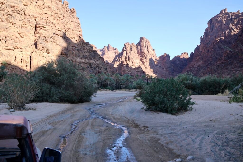 saoedi arabië 2025 11 06 (114)